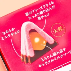 Apollo Strawberry Chocolate - Caramel Milk