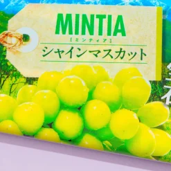 Asahi Mintia Mints - Shine Muscat