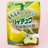 Hi-Chew Premium Candy - Musk Melon