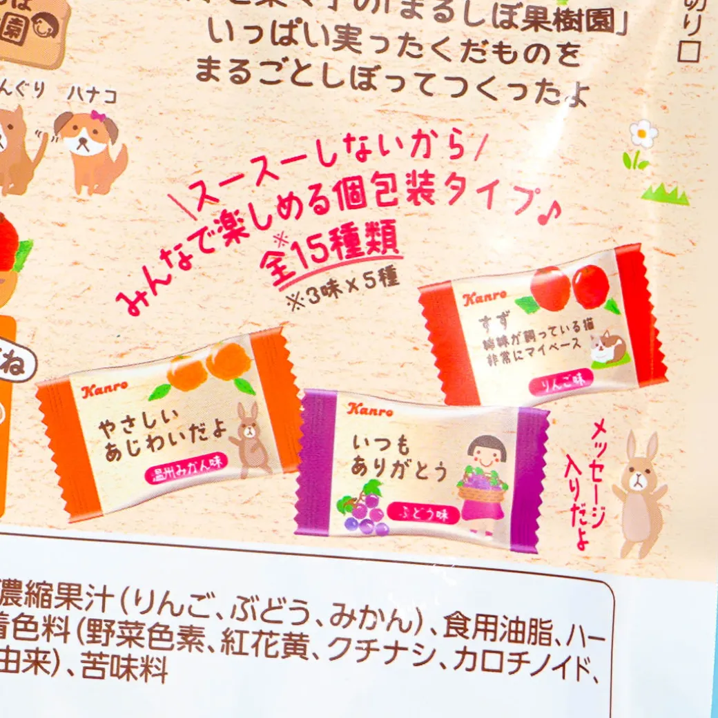 Kanro Whole Squeezed Throat Candy - Fruit Mix