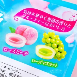 Kasugai Flower Aroma Throat Candy