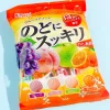 Kasugai Refreshing Throat Candy - Fruit Assortment