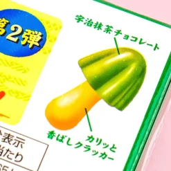 Kinoko no Yama Chocolate Biscuits - Dark Matcha