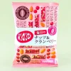 Kit Kat Chocolates - Nuts & Cranberry Ruby