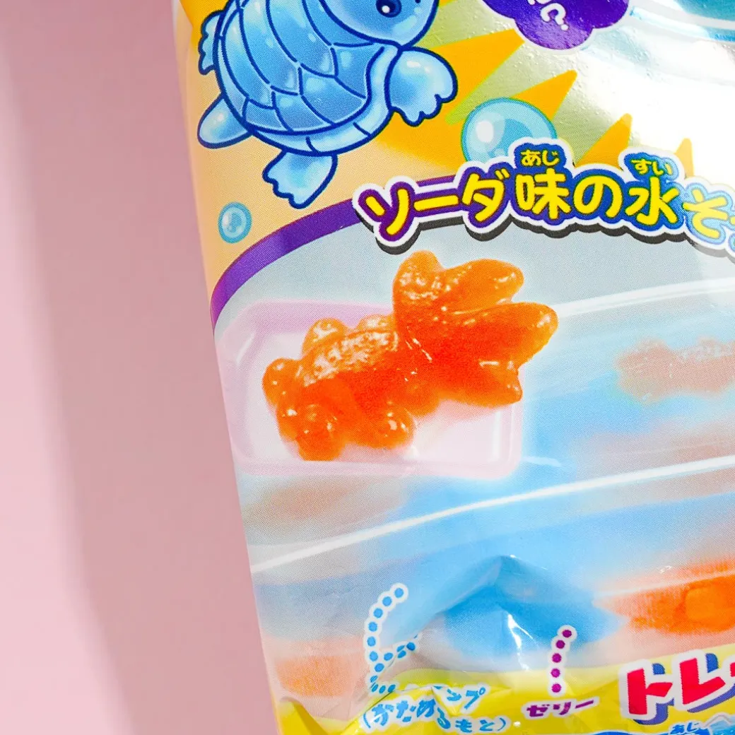 Kracie Goldfish Scoop DIY Candy Kit