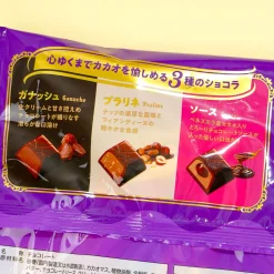 Look Chocolate Bag - Ganache & Praline & Sauce