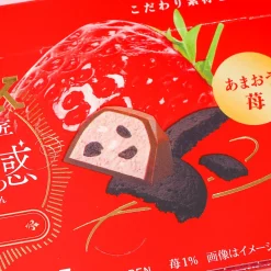 Look Grain of Luxury Chocolate - Strawberry Cocoa