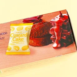 Lotte Custard Cake - Chocolate