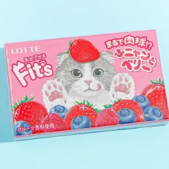 Lotte Fit's Funyan Gum - Mixed Berry