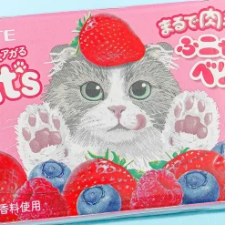 Lotte Fit's Funyan Gum - Mixed Berry