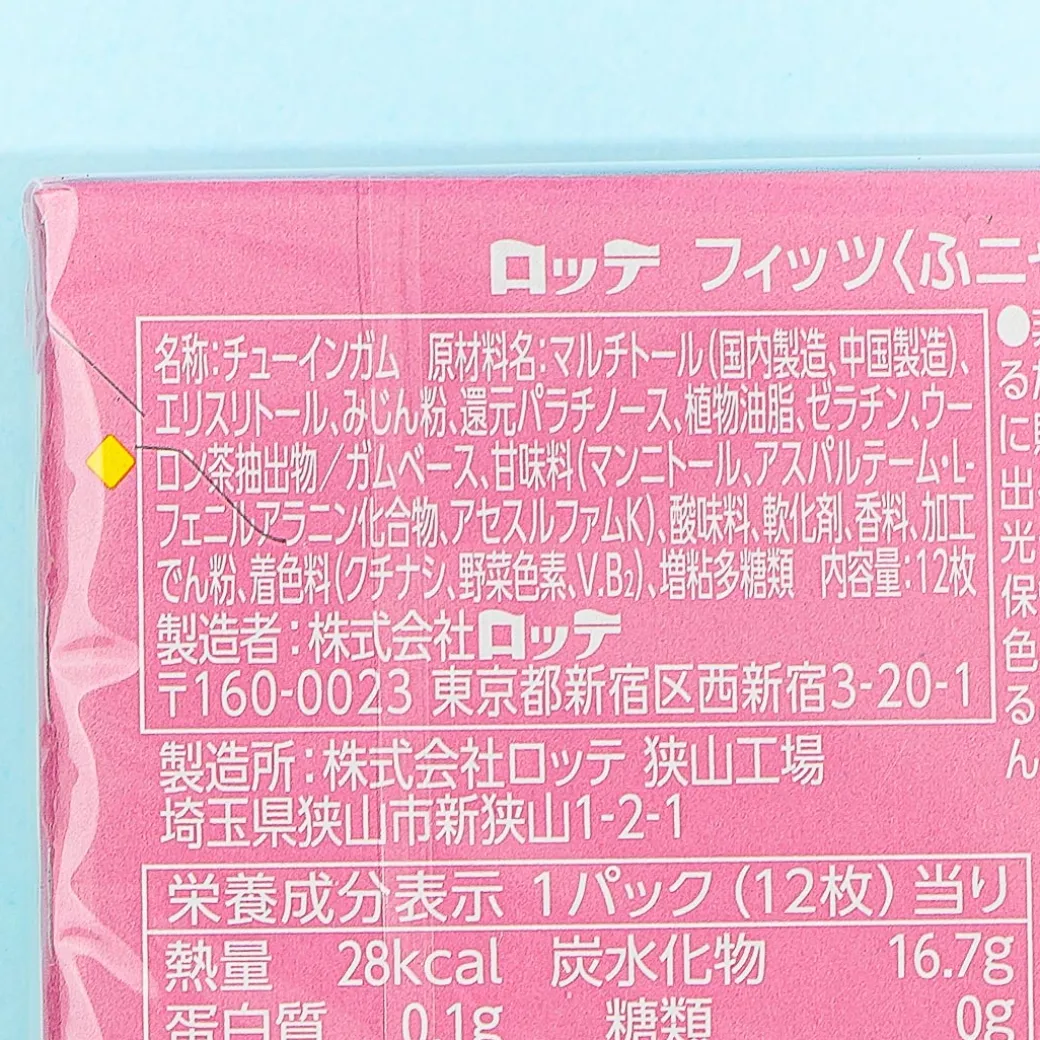 Lotte Fit's Funyan Gum - Mixed Berry