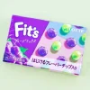 Lotte Fit's Gum - Grape Mix