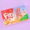 Lotte Fit's Gum - Refreshing Frozen Orange