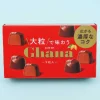 Lotte Ghana Large Chocolate