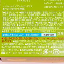 Lotte Premium Ghana Chocolate - Muscat