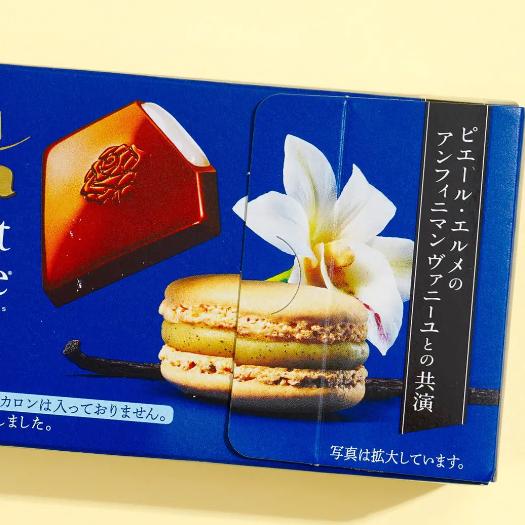 Lotte Premium Ghana Raw Infiniment Vanille Chocolate