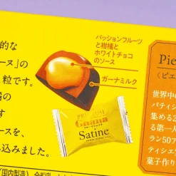 Lotte Premium Ghana Satine Fruit Chocolate