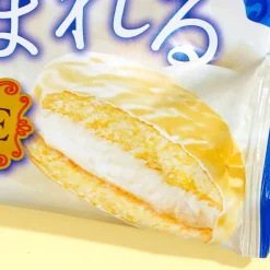 Lotte Single Choco Pie - More Cream