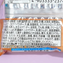 Lotte Single Custard Cake - Chocolate