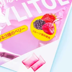 Lotte Xylitol Bubble Gum Pack - Mixed Berries