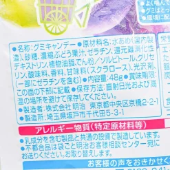 Meiji Kajyu Fruit Gummies Elastic Plus - Grape