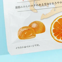 Nippon Ale Gummy - Gamagori Mikan