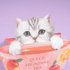 Queue Mignone Apple & Honey Tea