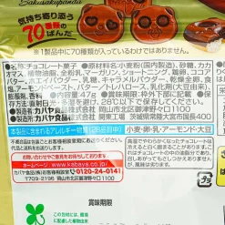 Saku Saku Panda Chocolate Biscuits