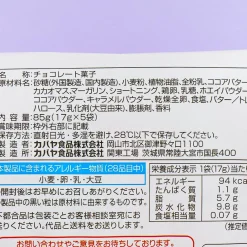 Saku Saku Panda Chocolate Biscuits Family Pack