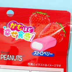 Snoopy PEANUTS x Hi-Chew Chewy Candy Pack - Strawberry